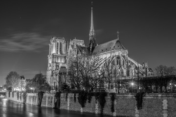 Fototapeta premium Notre Dame