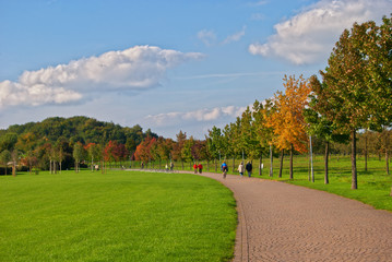 Landschaft