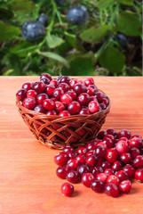 Basket with cranberries on a wooden background
