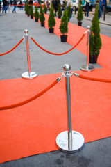 Red Carpet -  is traditionally used to mark the route taken by heads of state on ceremonial and...