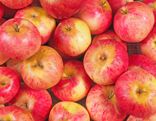 Fresh red apples closeup