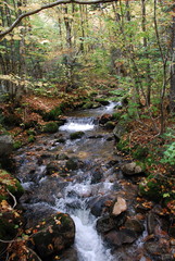 Obraz premium Stream fall