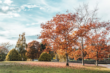 Devonian Harbour Park in Vancouver, BC, Canada