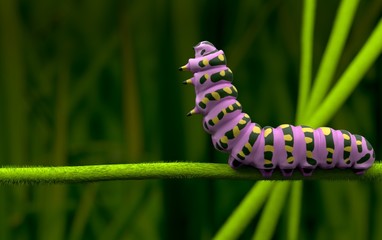 Pink caterpillar  lover and alone 3Drendering 