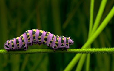Pink caterpillar  lover and alone 3Drendering 