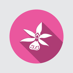 Orchid flower icons. Floral symbol. Round circle flat icon with long shadow. Vector