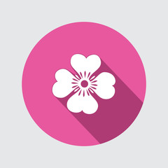 Spring flower. Camomile, Chamomile, forget-me-not icons. Floral symbol. Round flat icon with long shadow. Vector