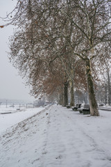 Frozen pathway in the park by the river on a snowing winter day