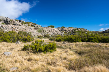 Fototapeta na wymiar Serra da Estrela Natural Park