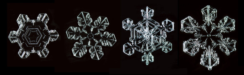 set of photos natural snowflakes, photo real snowflakes during a snowfall, under natural conditions...