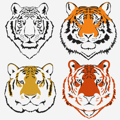 Tiger logo set vector