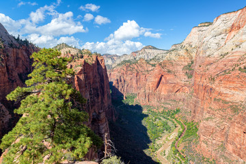Beautiful Zion Canyon