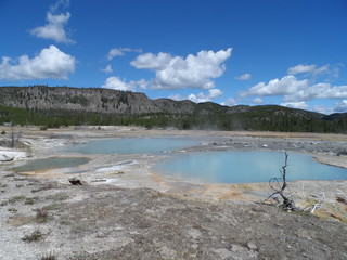 Hot Pools at Yellowstone