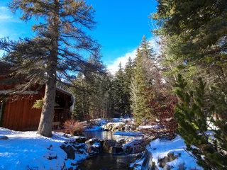Crédence de cuisine en verre imprimé Hiver rustic winter forest scene in Sundance Utah