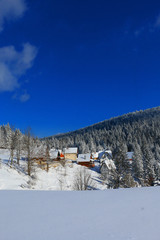 Fototapeta premium A snowy winter scene