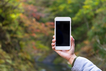 Woman holding blank screen of cellphone at forest