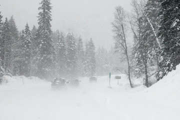 Line of trucks driving in a Colorado blizzard - obrazy, fototapety, plakaty