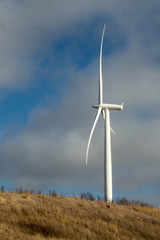 Modern windmill for wind power generation in profile