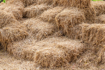 Bales of hay stacks in agriculture farm, the symbol of harvestin
