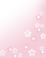 Fototapeta na wymiar 桜　和風　和柄