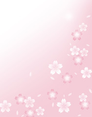 Obraz na płótnie Canvas 桜　和風　和柄