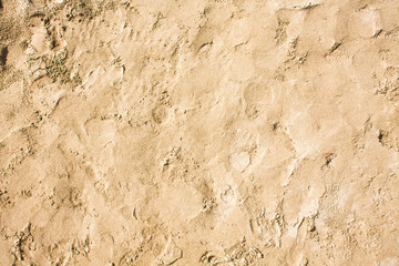 Sandy beach pattern closeup, Summer seacoast background.