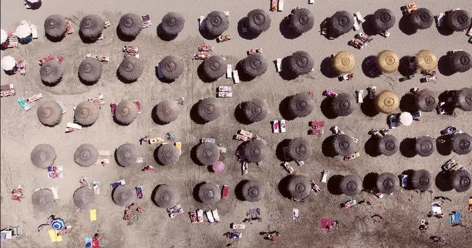 Aerial shot of sea resort beach with umbrellas in rows. Canary Islands beach aerial.