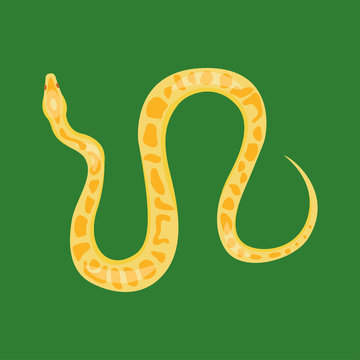 Snake reptile cartoon vector