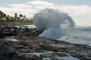 Breaking wave on Oahu