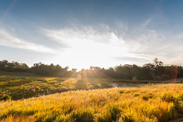 Obraz premium tropical rainforest,Khao Yai National Park Thailand.