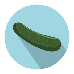 cucumber vegetable icon over blue circle and  white background. colorful design. vector illustration