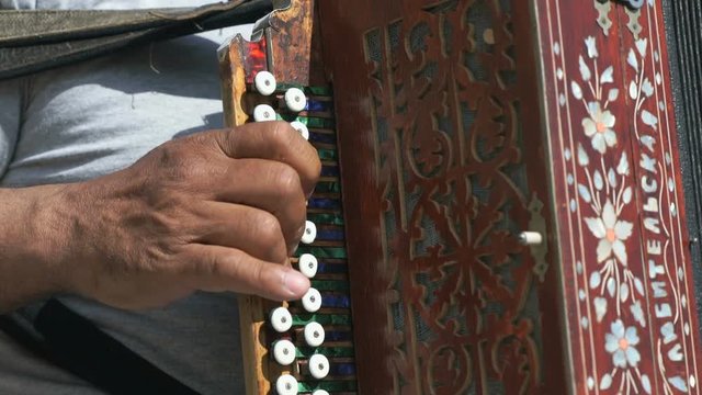 Man aged 60s plays the accordion outdoors in summer. Close up