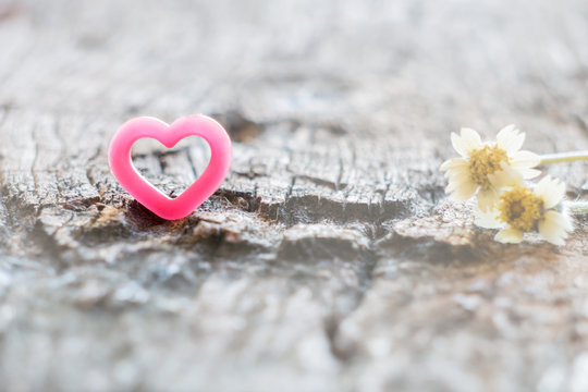 Couple of grass flower and pink heart on wood.