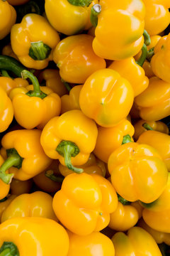 Yellow Paprika. Parika background