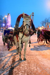 Fototapeta na wymiar Ornamented horse drawn carriage