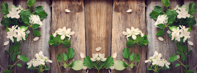 Rustic boards background with branches of flowering apple trees.