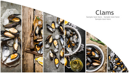 Food collage of clam .