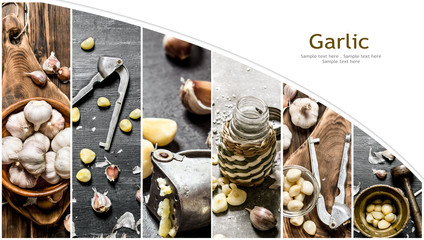 Food collage of garlic.