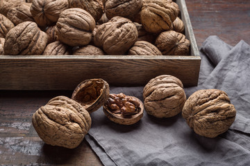 Large walnuts in a studio.