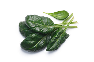 Spinach (Spinacia oleracea) leaves, top view, paths