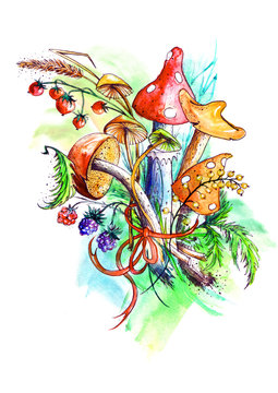  Bunch of mushrooms, berries, plants, herbs, over white background. Figure executed in watercolor. Russula, chanterelle, mushrooms and other fungi. The variant with a black outline and paint splatter