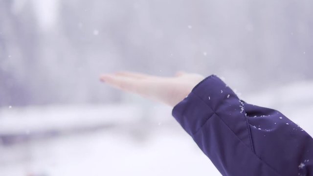 Woman's Hand Is Catching Snowflakes