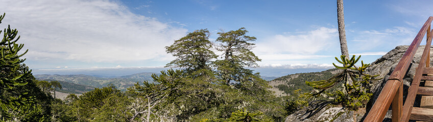 Fototapeta na wymiar National Park Nahuelbuta, South of Chile.