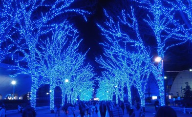 Blue cave illumination, yoyogi park, Tokyo