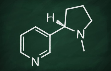 Structural model of Nicotine