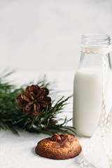 Food background of cinnamon cookie with hazelnut and bottle of milk on white table