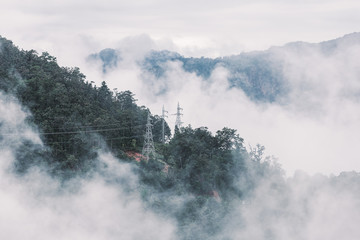 Foggy scene of tropical forest mountain