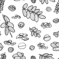 seamless pattern hand sketched nuts