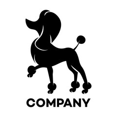 The black silhouette of the dog breed poodle logo - obrazy, fototapety, plakaty