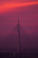 Fototapeta na wymiar Cable bridge in a fog at colorful autumn dawn in Belgrade, Serbia